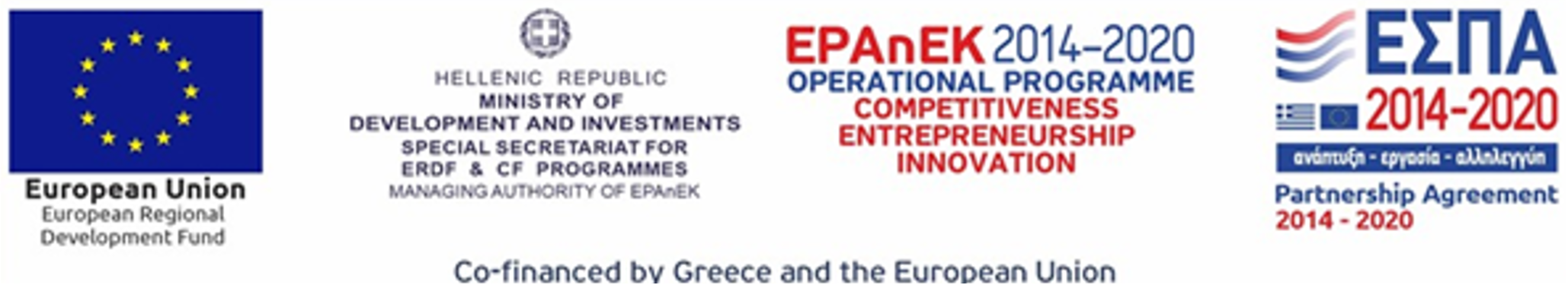 epanek logo english